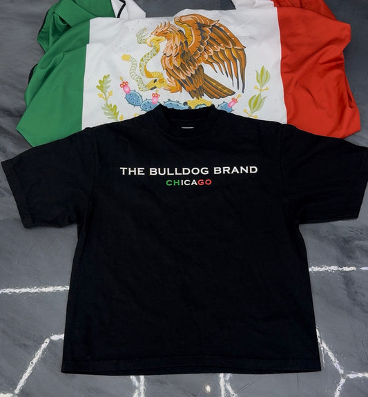 RAÍCES MEXICANAS